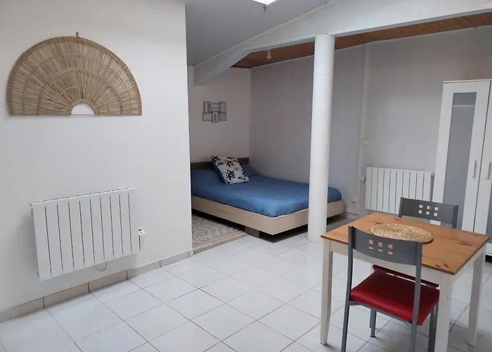 Studio Entier Et Parking Prive